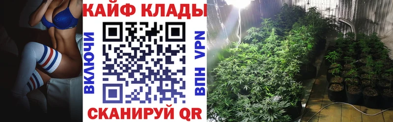 Что такое Олонец Лсд 25 МАРИХУАНА