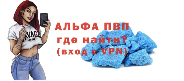 спайс Михайлов