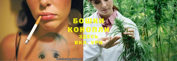спайс Михайлов