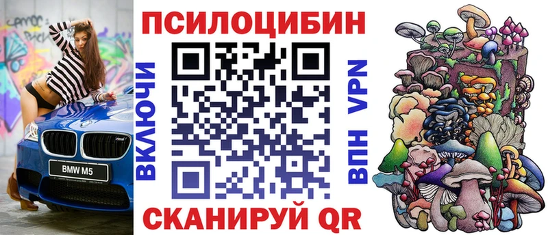 где продают   Олонец  Галлюциногенные грибы Psilocybe 