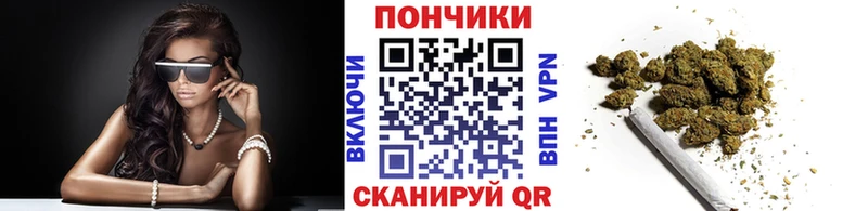 хочу наркоту  Олонец  kraken ССЫЛКА  Шишки марихуана сатива 